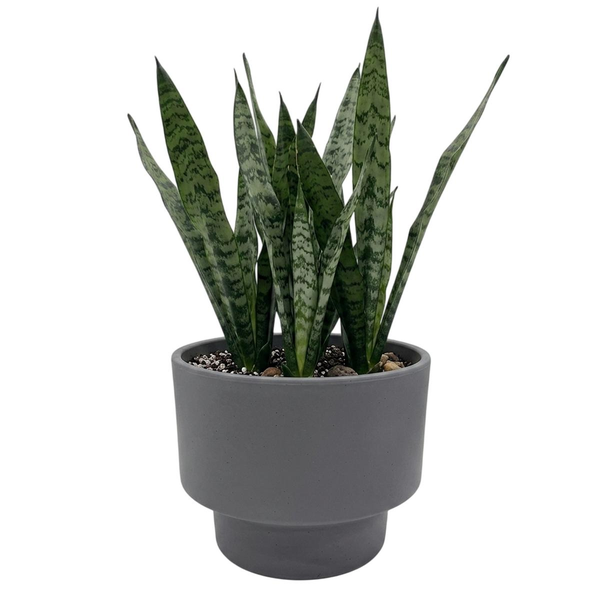 Cachepo Tocatta 26cm - Basics - Cores Sortidas - Ref. 37284