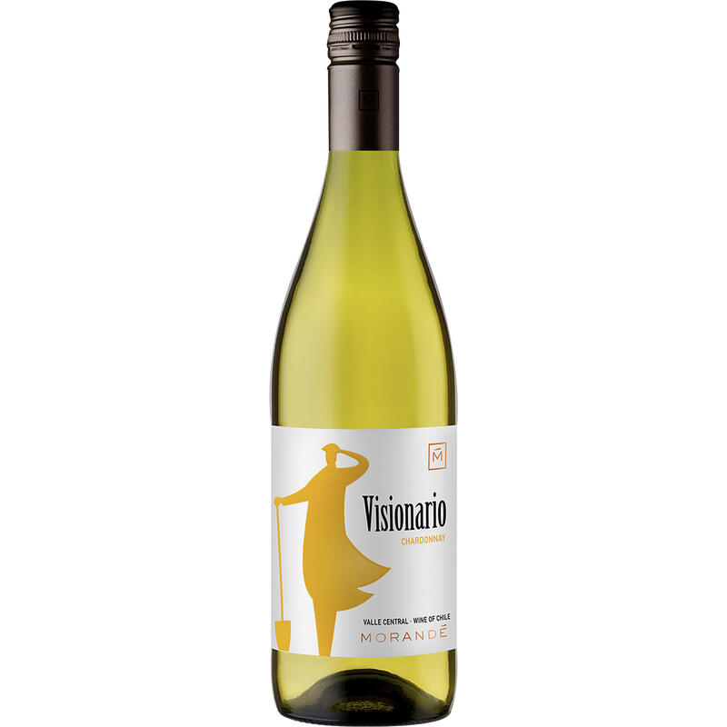 Vinho Chileno Visionario Chardonnay 750ml