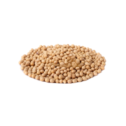 Soja 100g